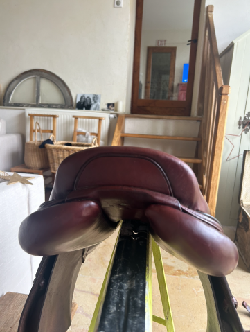 Sella da salto ostacoli CWD  16.5" - 2019