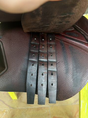 Sella da salto ostacoli CWD  16.5" - 2019