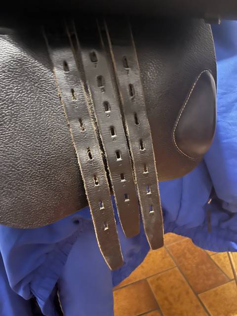 Sella da salto ostacoli Time Rider Cdi 17.5" - 2018