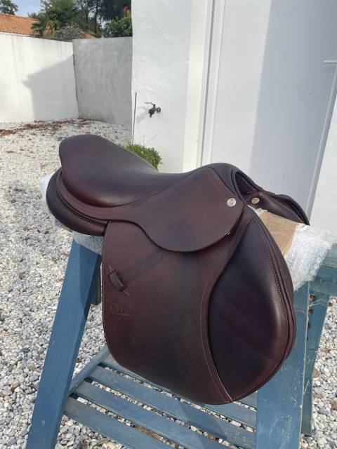 Sella mista CWD  16.5" - 2017