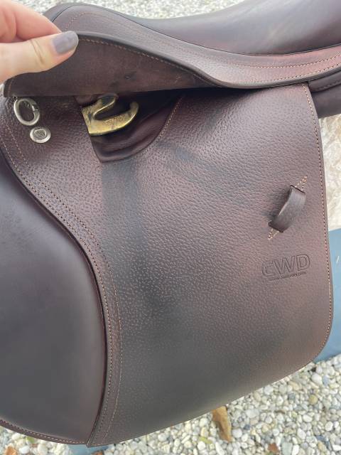 Sella mista CWD  16.5" - 2017