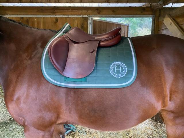 Sella mista Devoucoux  17.5" - 2023