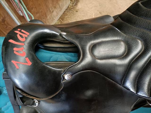 Sella da endurance Zaldi  17" - 2020