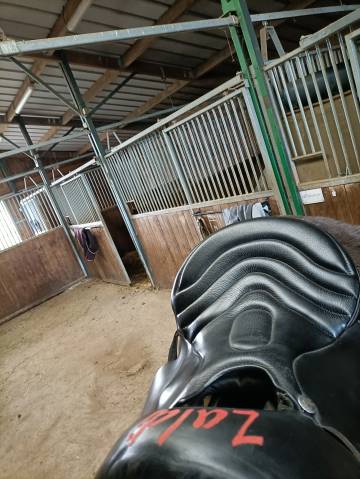 Sella da endurance Zaldi  17" - 2020