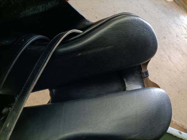 Sella da endurance Zaldi  17" - 2020