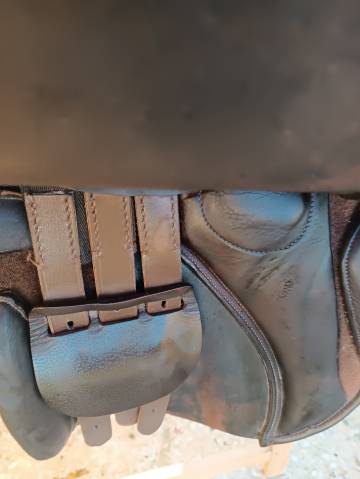 Sella da salto daslo gold by Tattini 