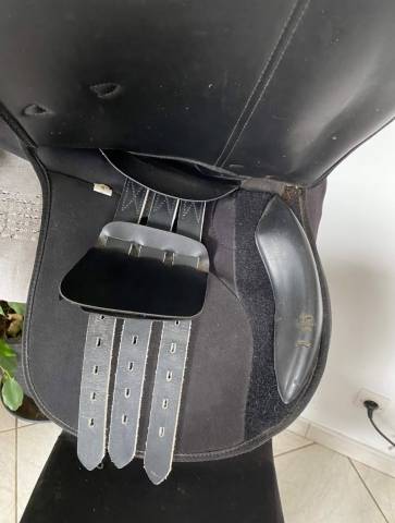 Sella mista   17.5" - 2012