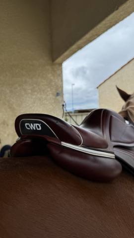 Sella da salto ostacoli CWD  17" - 2020