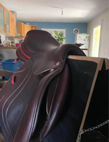 Sella da salto ostacoli CWD  17.5" - 2019