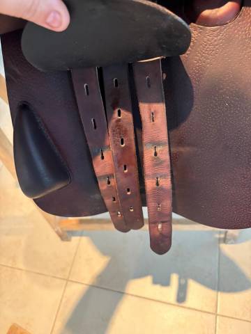 Sella da salto ostacoli Equipe  18" - 2020