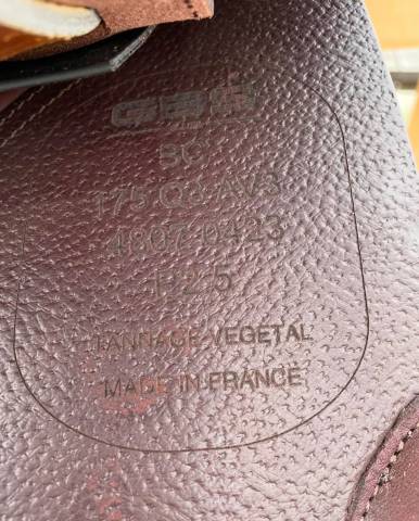 Sella da salto ostacoli GBS  17.5" - 2023