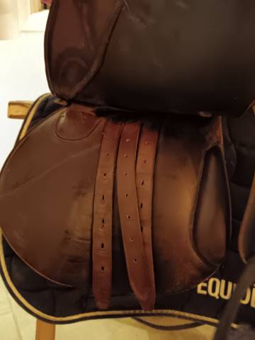 Sella mista Forestier  17" - 2004