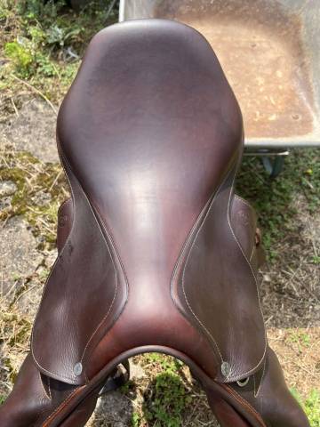 Sella da salto ostacoli Antarès  17.5" - 2017