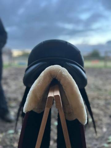 Sella da dressage Pfiff  17.5" - 2021