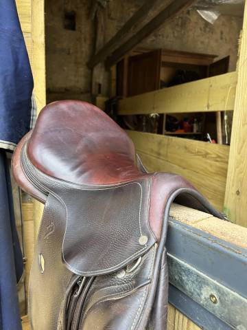 Sella mista Antarès  17.5" - 2017