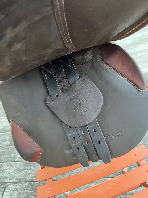 Sella da salto ostacoli Antarès Altaïr 16.5" - 2022