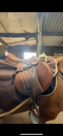 Sella da cross Butet  17" - 2011