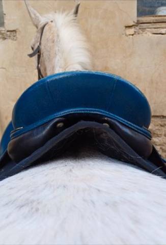 Sella da dressage Devoucoux  17.5" - 2009