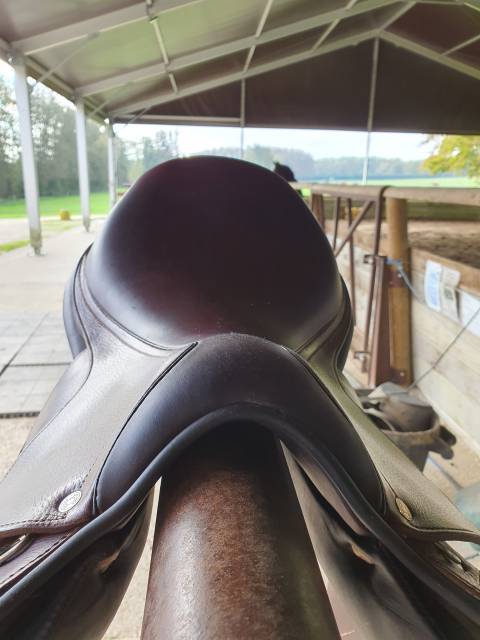 Sella da salto ostacoli Antar&egrave;s  18" - 2023