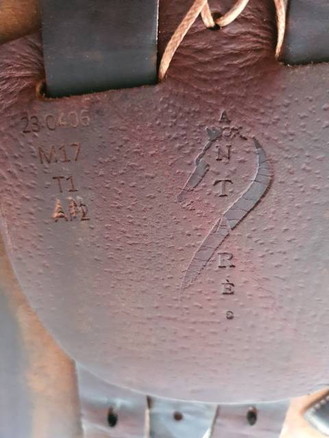 Sella da salto ostacoli Antar&egrave;s  18" - 2023