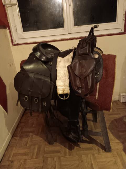 Sella western Colorado Springs  16" - 2010