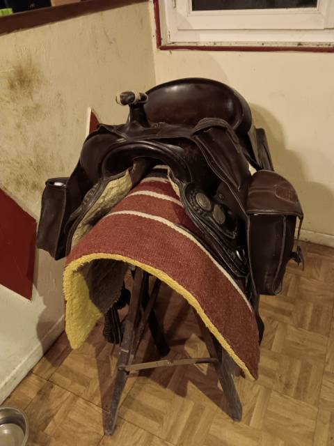 Sella western Colorado Springs  16" - 2010