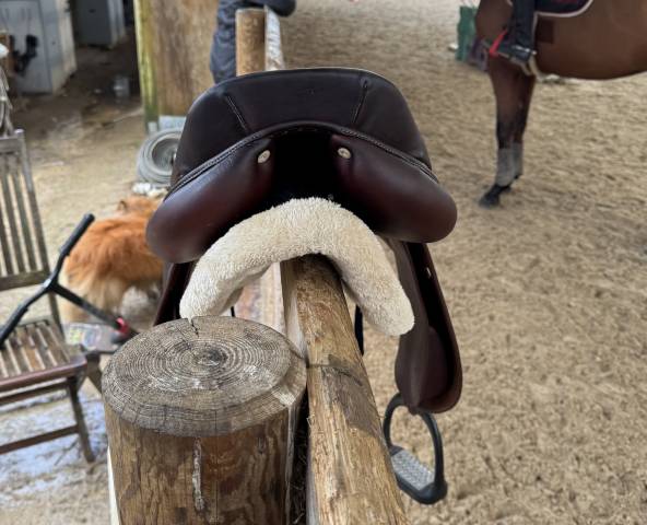 Sella mista Antarès  17.5" - 2014