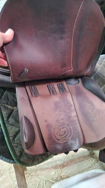 Sella da salto ostacoli Forestier  17" - 2022