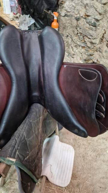 Sella da salto ostacoli Forestier  17" - 2022