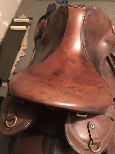 Sella da trekking Forestier TREC 17" - 2007