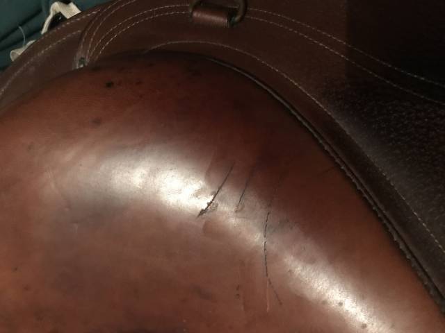 Sella da trekking Forestier TREC 17" - 2007