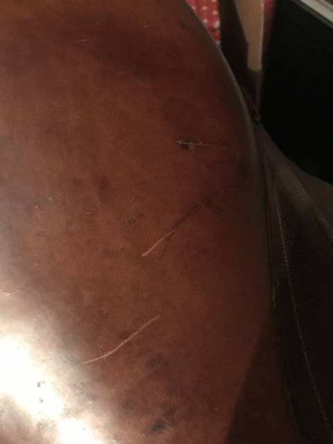 Sella da trekking Forestier TREC 17" - 2007