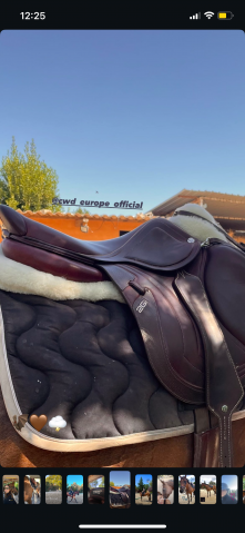 Sella da salto ostacoli CWD  17.5" - 2022