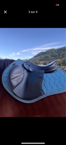 Sella da salto ostacoli CWD  17" - 2003