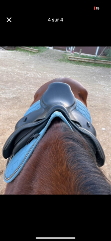 Sella da salto ostacoli CWD  17" - 2003