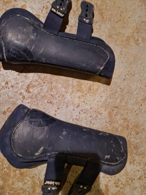  Félix Bühler Occasione