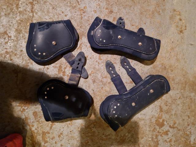  Félix Bühler Occasione