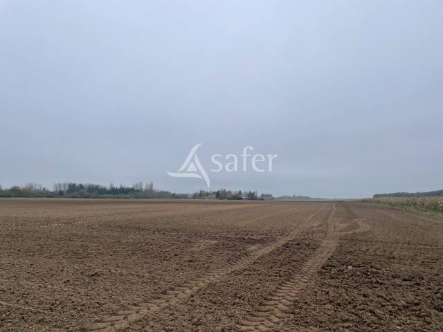 Azienda agricola In vendita Loiret