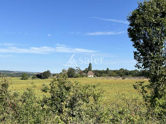 Azienda agricola In vendita Lot-et-Garonne