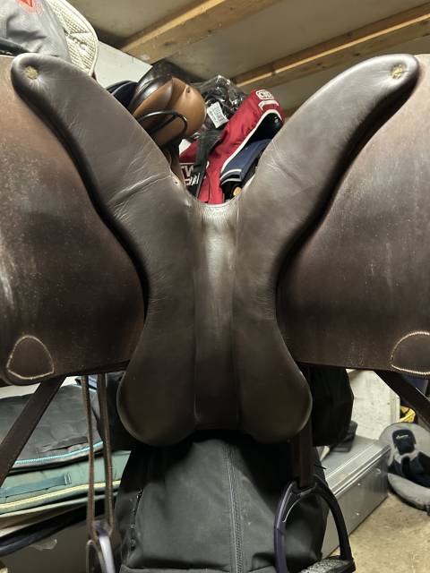 Sella da salto ostacoli   17" - 2015