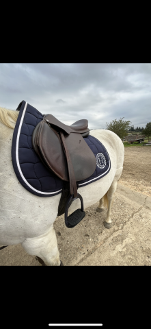 Sella da salto ostacoli   17" - 2015