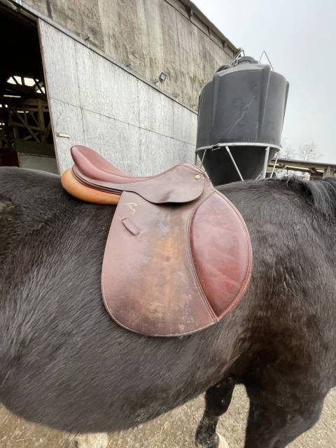 Sella mista Pessoa  17.5" - 2020