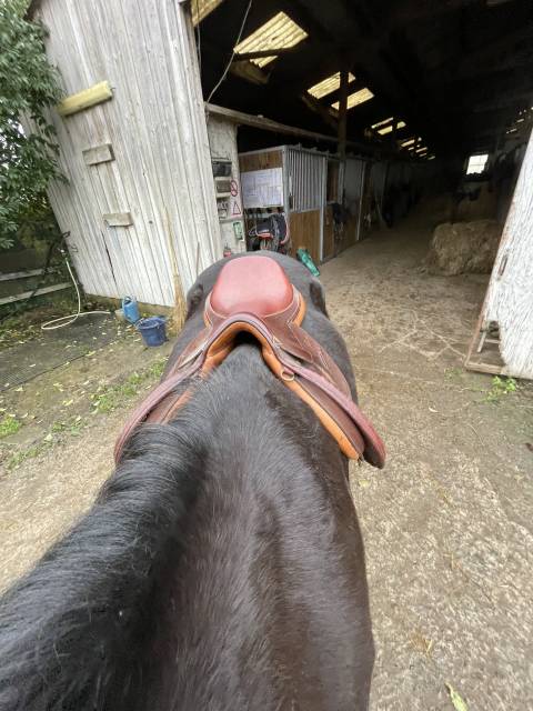 Sella mista Pessoa  17.5" - 2020