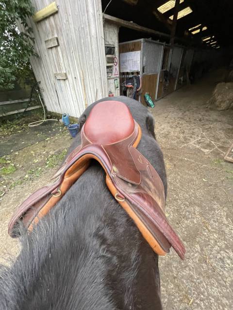 Sella mista Pessoa  17.5" - 2020