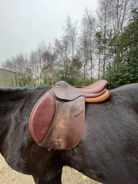 Sella mista Pessoa  17.5" - 2020