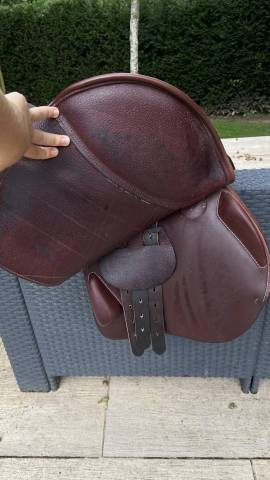 Sella da salto ostacoli Equipe  17" - 2018