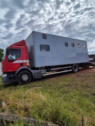 Camion per Cavalli Renault midlum 2004 Occasione