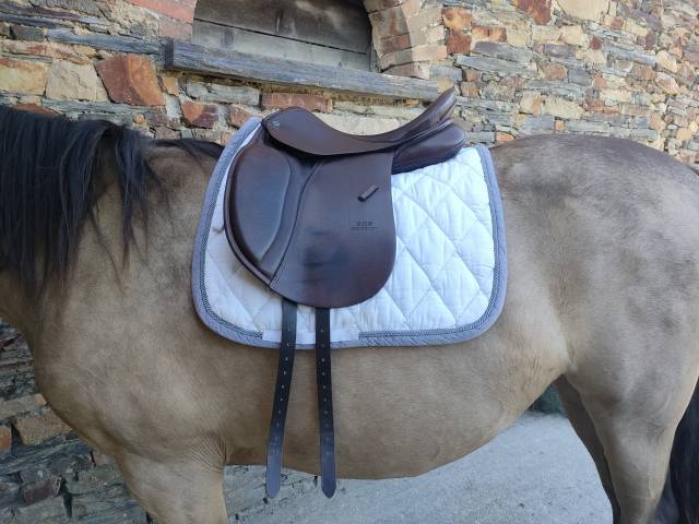 Sella da dressage Stubben  17" - 2022