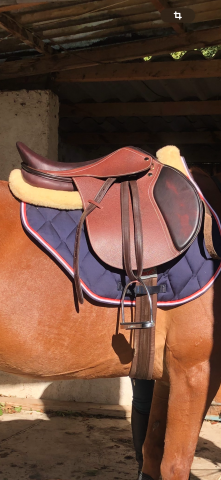 Sella mista   17.5" - 2023