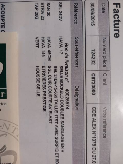 Sella mista Forestier  17" - 2015